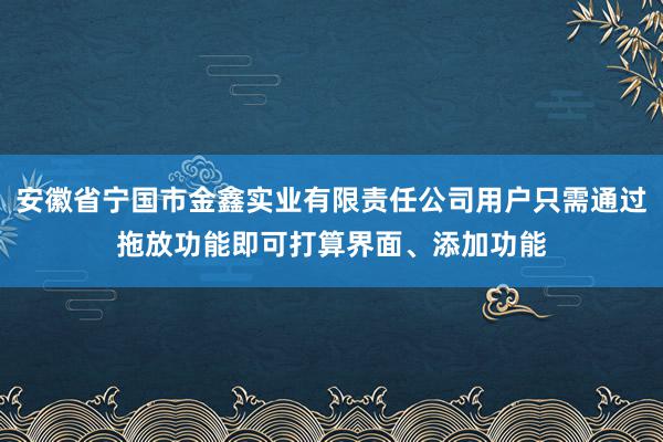 安徽省宁国市金鑫实业有限责任公司用户只需通过拖放功能即可打算界面、添加功能
