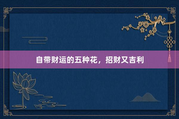 自带财运的五种花，招财又吉利