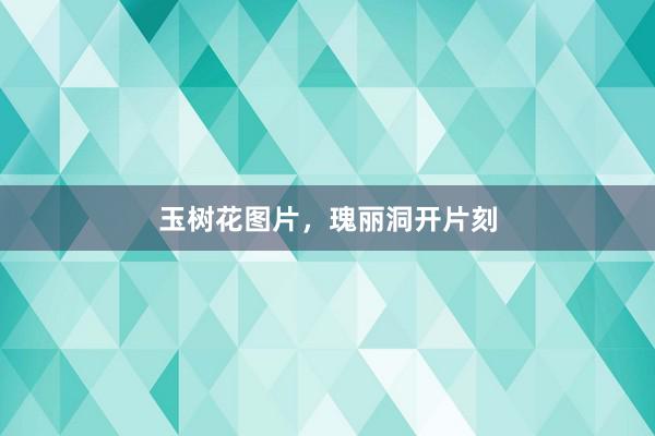 玉树花图片，瑰丽洞开片刻